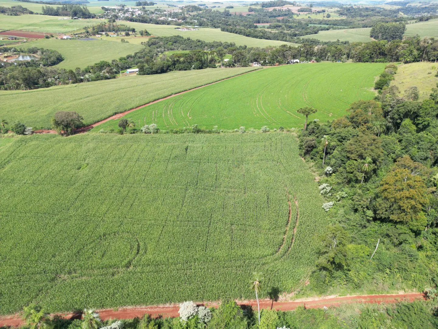 Imagem Chacara a venda em Rio do Salto Cascavel