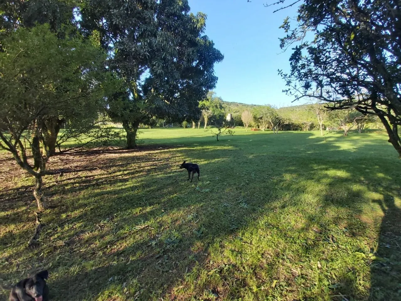 Imagem Terreno no bairro Restinga