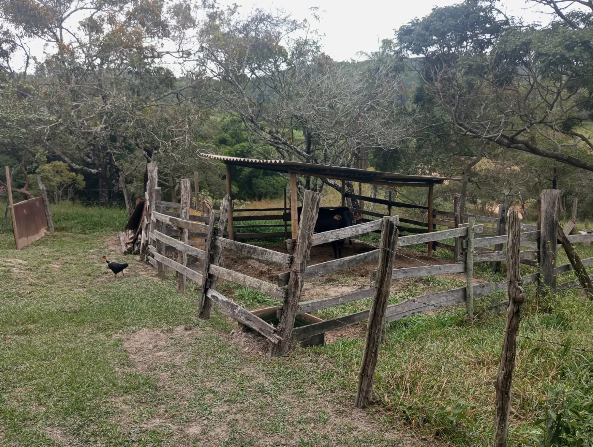 Imagem Sítio à Venda, 20000 metros em Nova União - Nova União