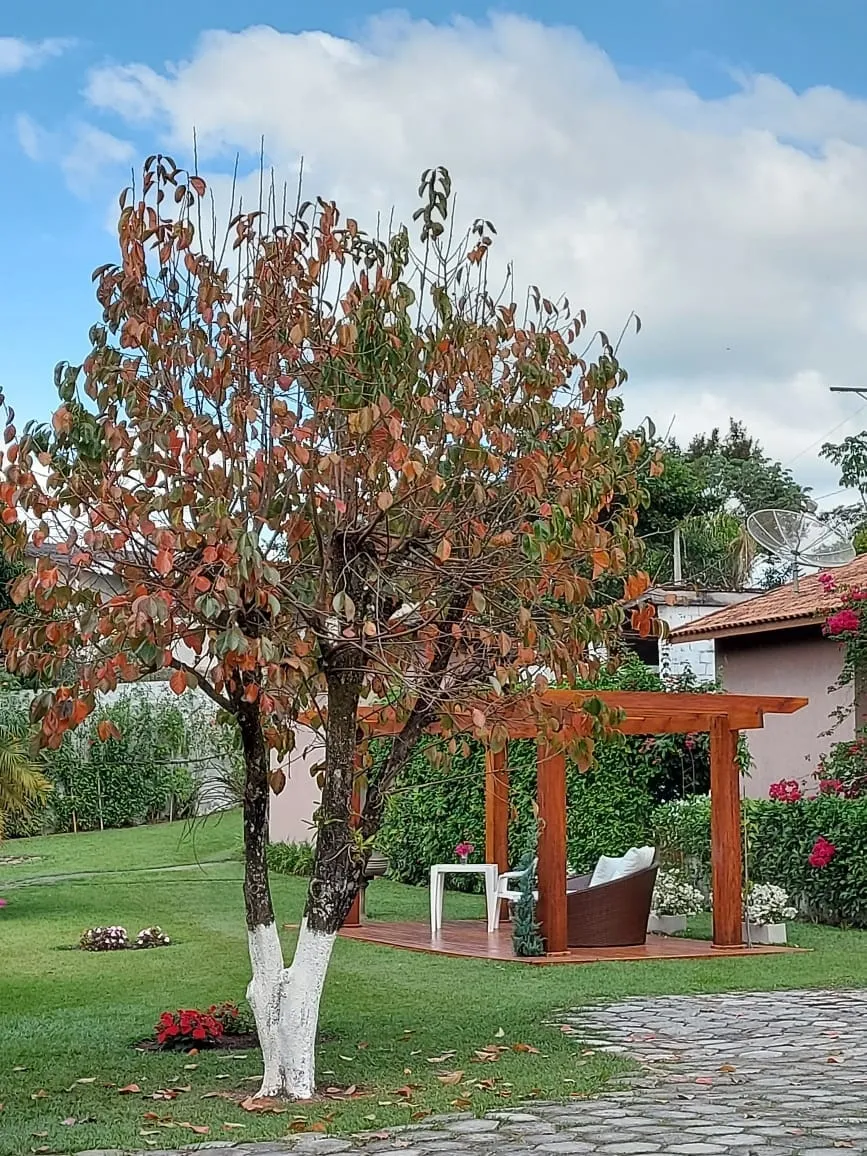 Imagem Chácara à venda 4 Quartos, 3 Suites, 7700M², Ribeirão Grande, Pindamonhangaba - SP