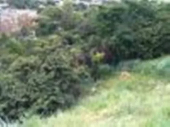 Imagem O melhor preço de Lote na região com 23m² de frente.