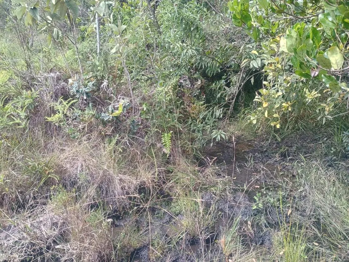 Imagem Excelente terreno rural com área de 10 hectares a venda em PASSA TEMPO/MG