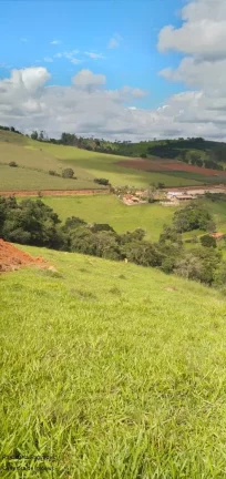 Imagem CHACARA RURAL em BANDEIRA DO SUL - MG, ROSEIRA