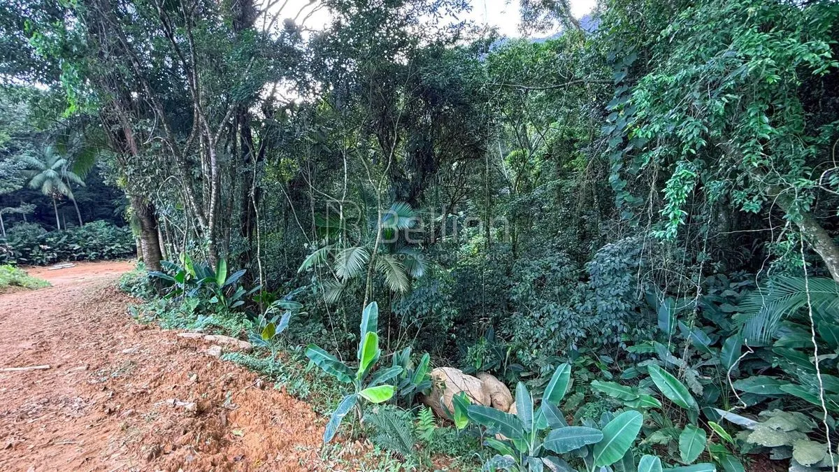 Imagem Terreno à venda em Rio dos Cedros - 45.000 m² com potencial para sítio ou cabanas