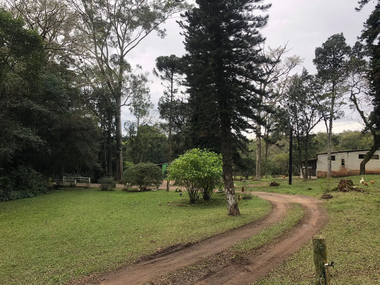 Imagem Sítio Rural de 121.672,00 M² no Bairro Belém Velho Poa-RS