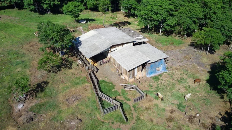 Imagem Área Agrícola para Venda em Arabuta, Centro
