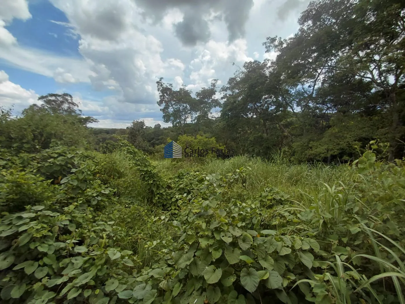 Imagem Chácara para Venda em Brasília, Setor Habitacional Jardim Botânico, 4 dormitórios, 3 suítes, 4 banheiros, 7 vagas