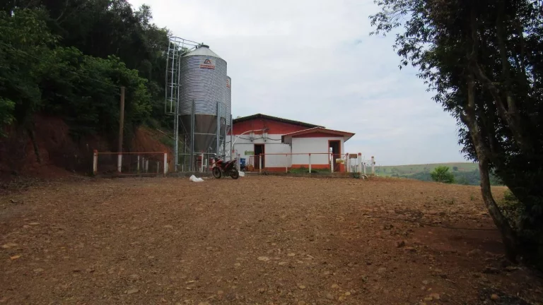 Foto do imóvel Área Agrícola para Venda em Peritiba, Lageado Mirim em Peritiba - Sc