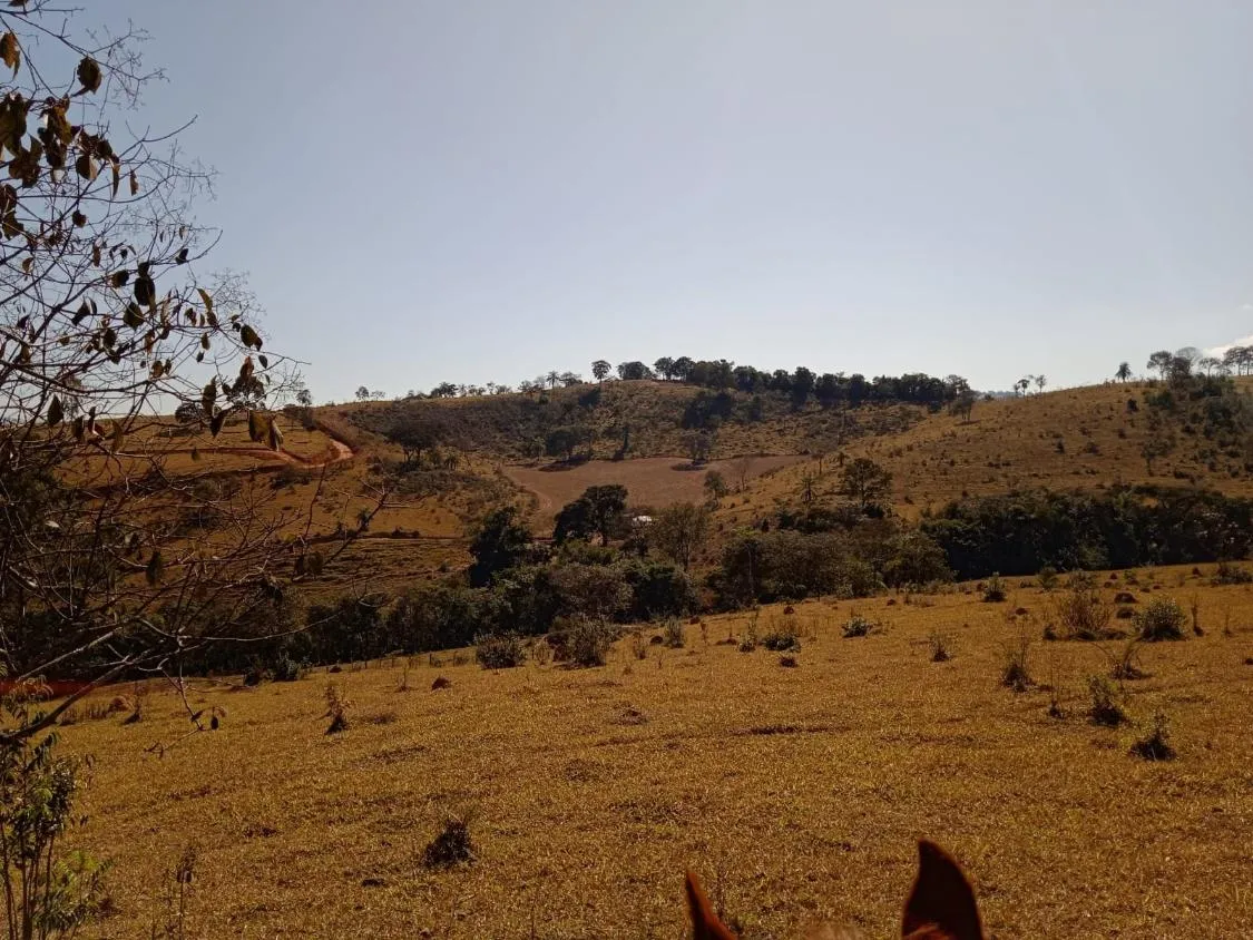 Imagem Vendo Excelente Fazenda em Bonfim/MG 90 hectares de terra