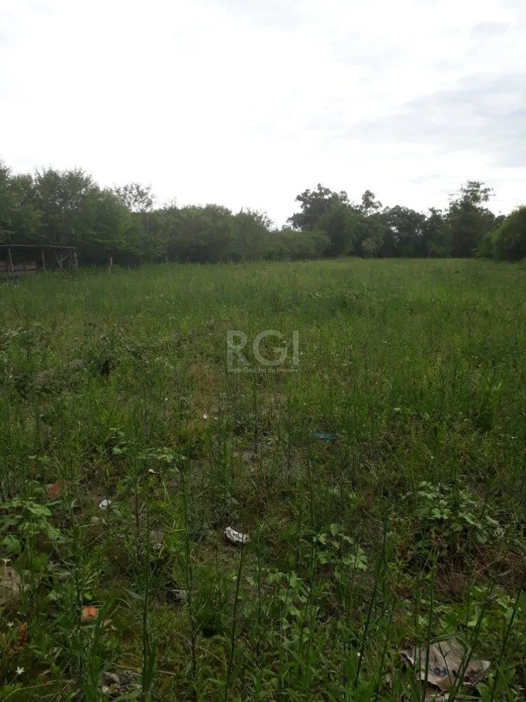 Imagem Area para Venda - 0m², 0 dormitórios, Campo Novo