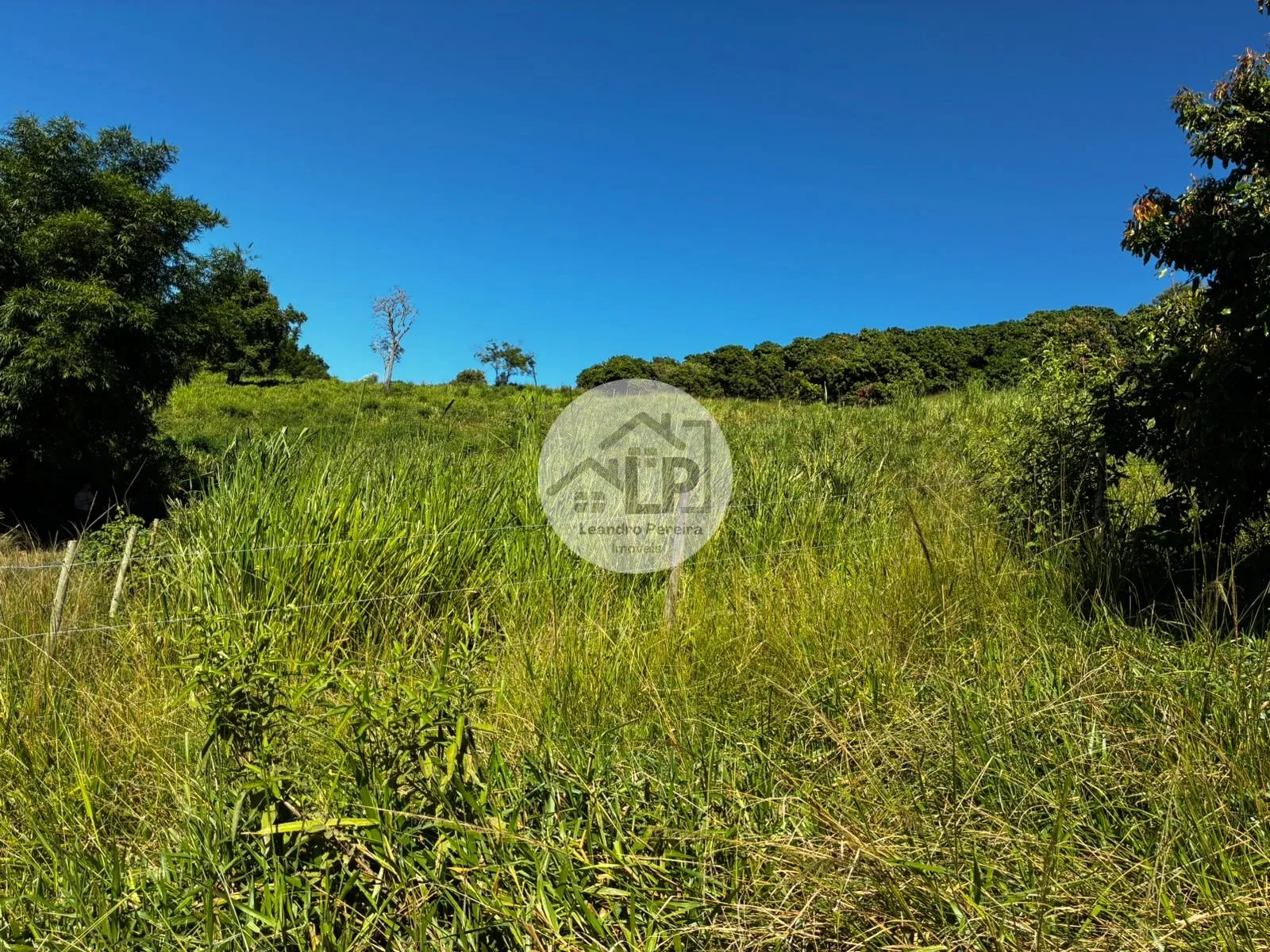 Imagem Fazenda/Sítios/Chácaras de 480000m² no bairro Carmo, em Carmo