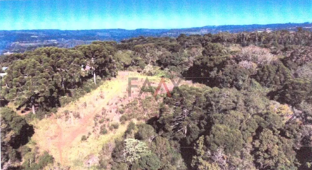 Imagem Área Rural de 45.375m² em Rio das Pedras Ótima Oportunidade de Investimento