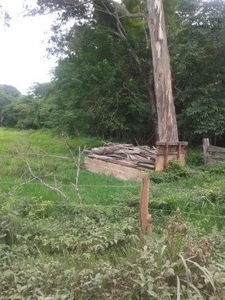 Imagem [Vendo Sítio em Brazópolis] [7 hectares com córrego d'água]