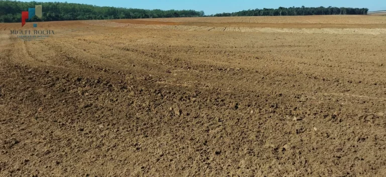 Imagem Fazenda região de Itapetininga SP