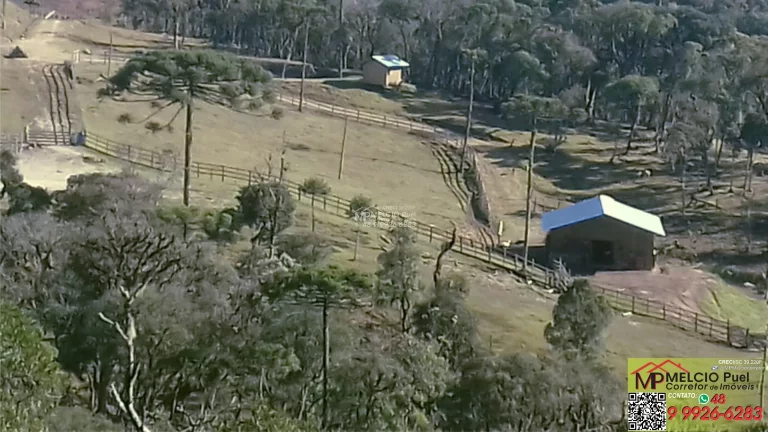 Imagem Lindo sítio a VEDA localizado em Rancho Queimado. Ótima propriedade para pastagens 06 hectares (todo cercado com 10 fios de arame); Escritura pública;