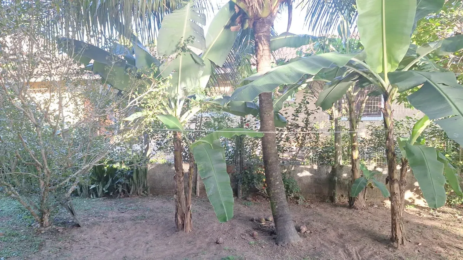 Imagem Casa de Condomínio com 5 Quartos à Venda, 324 m² em Aldeia dos Camarás - Camaragibe