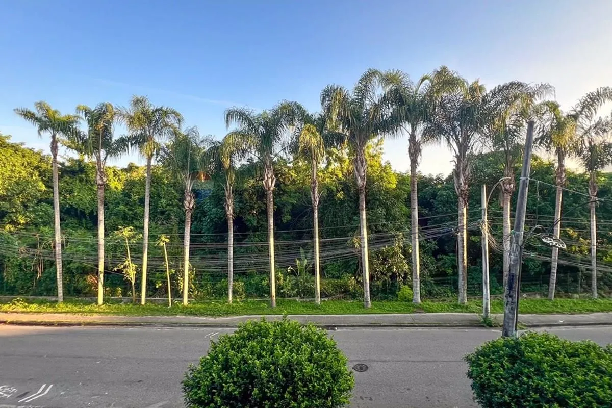 Imagem Apartamento No Recreio dos Bandeirantes - Um Refúgio Entre o Verde e o Mar
