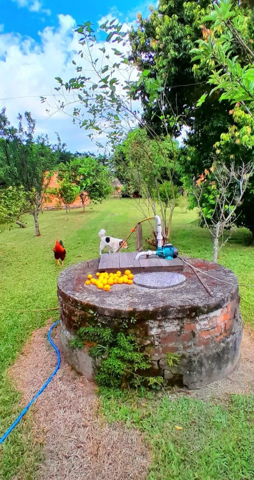 Imagem Terreno no Bairro Ponta Grossa