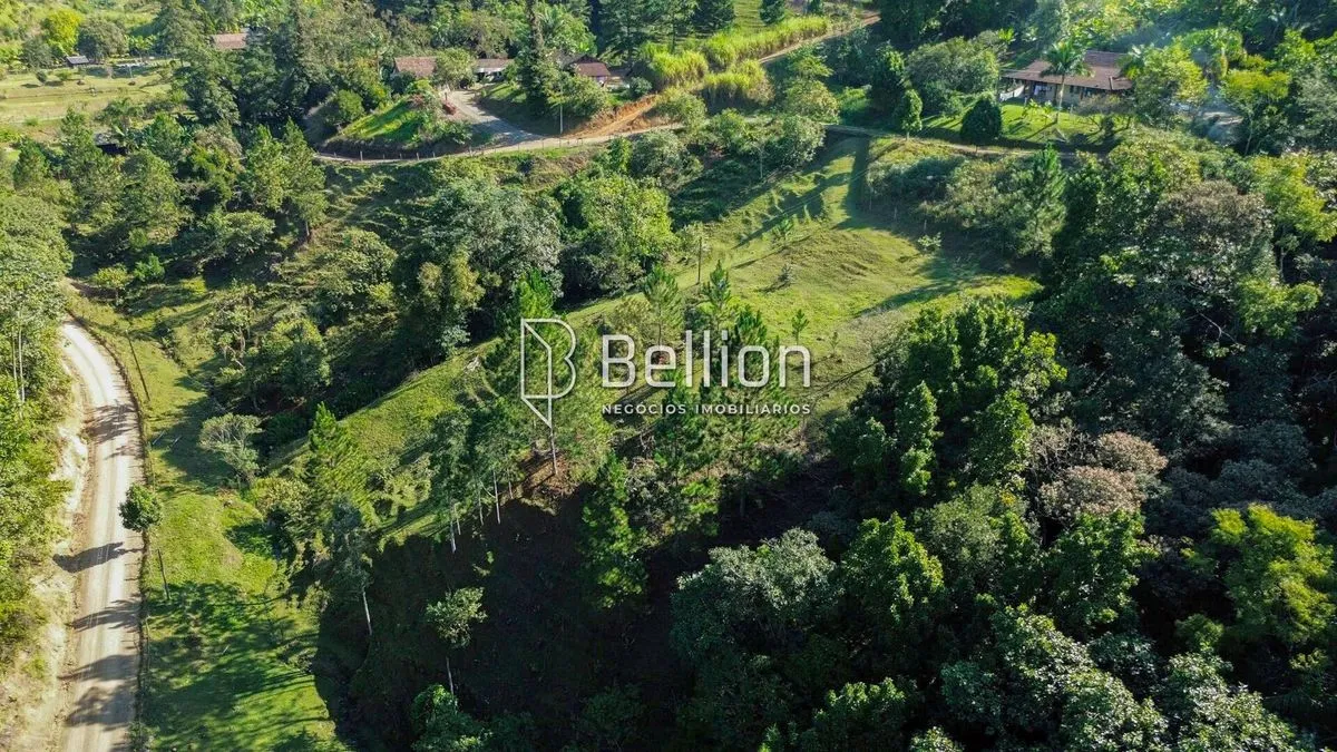 Imagem Sítio com Ribeirão e 6.000m² em Benedito Novo - Ideal para Chalés ou Moradia!