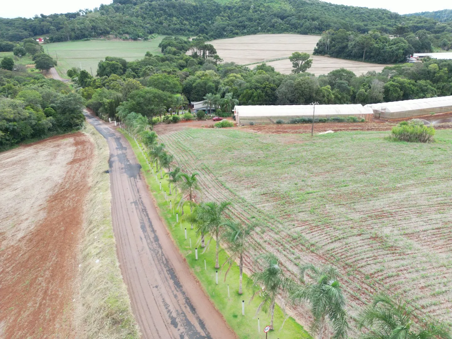 Imagem Chácara em Cascavel - Rio do Salto - Venda - Casa Sede, Lago para Pesca e Pomar - Aproveite!