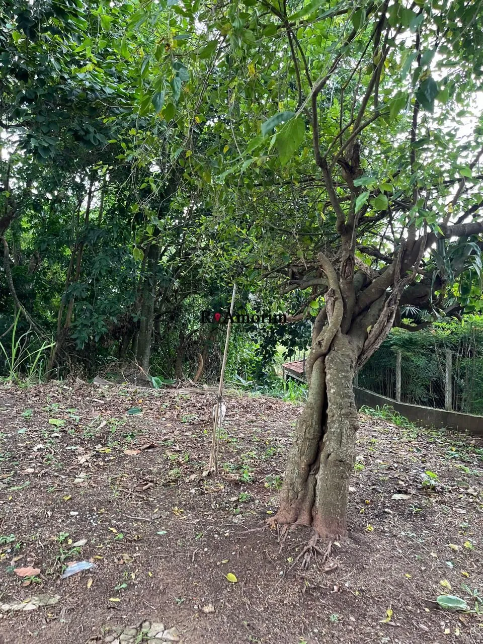 Imagem São Fernando Residência - Terreno a venda no Condominio São Fernando Residência em Barueri/SP com 787 metros