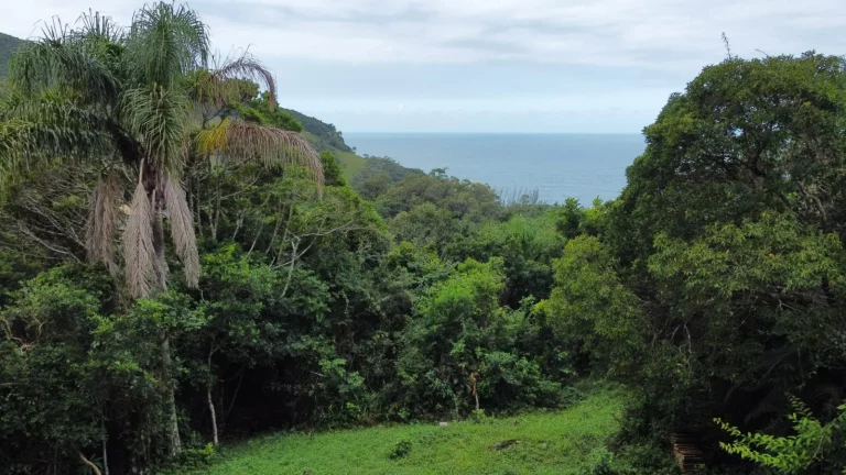 Imagem Vista para o Mar: Terreno à Venda na Praia da Ferrugem, Garopaba-SC - 1.500m²!