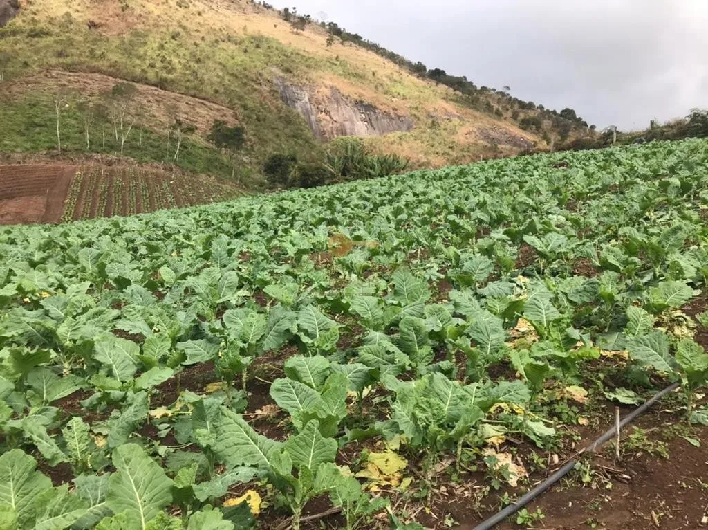 Imagem Terreno para Venda em Nova Friburgo / RJ no bairro Centro