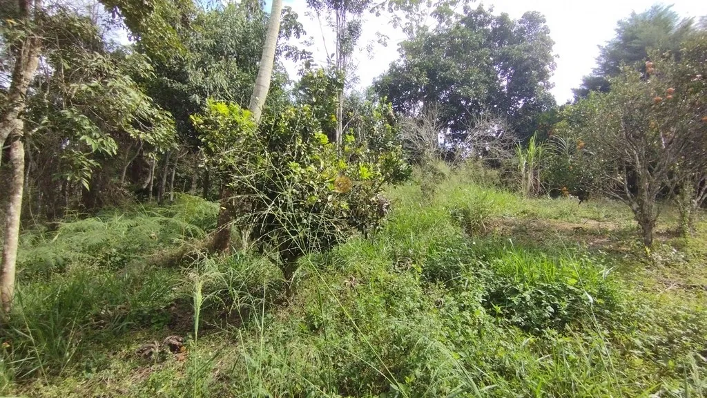Imagem Terreno em Condomínio para Venda em Teresópolis / RJ no bairro Green Valley