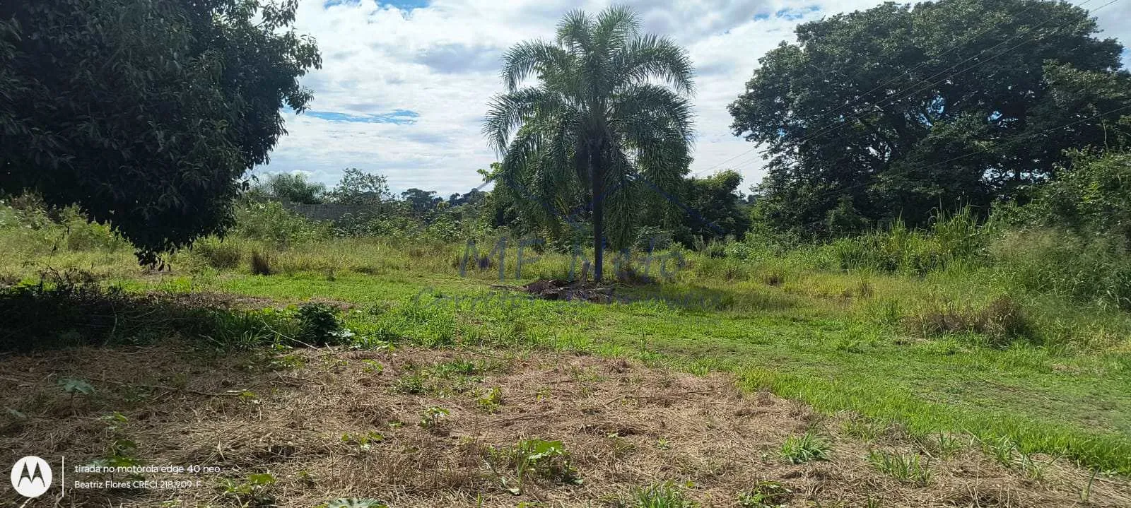 Imagem Terreno Padrão