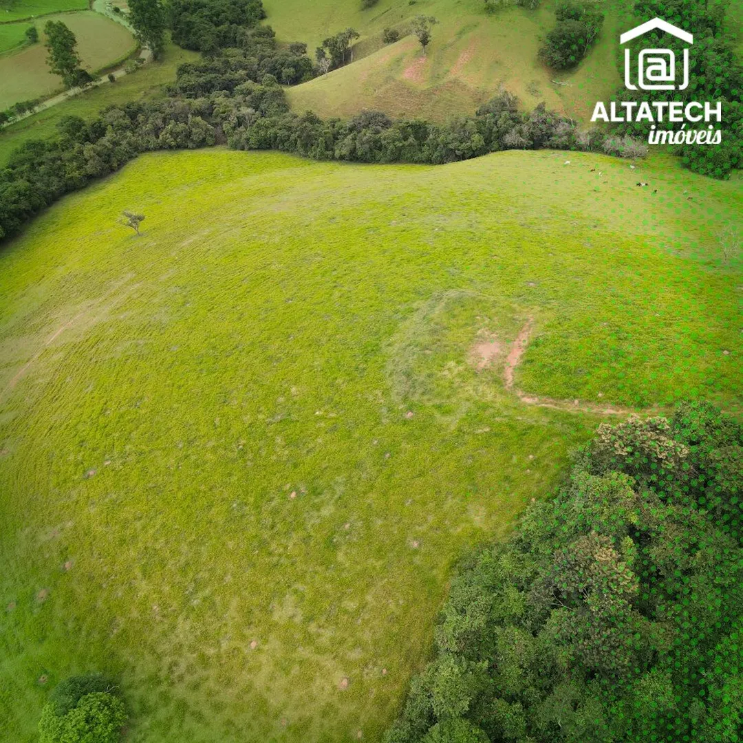 Sítio 150.000 m² à venda em Roseira, Bandeira do Sul