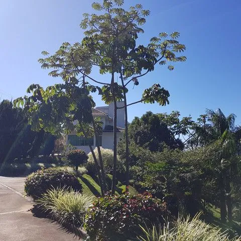 Imagem Casa de condomínio fechado em Serra Negra