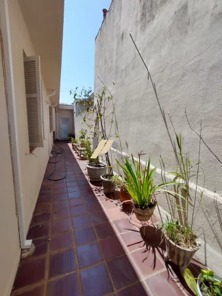 Imagem Casa à venda no Jardim Proença, em Campinas, São Paulo