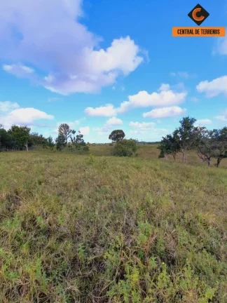 Imagem FAZENDA EM MATA DE SÃO JOÃO
