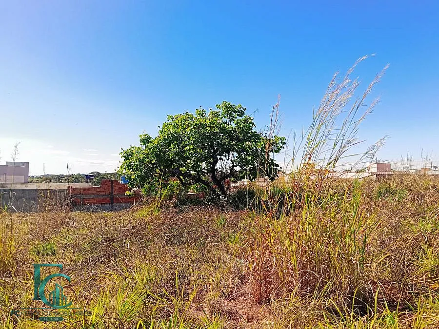 Imagem Oportunidade no Portal do Oriente