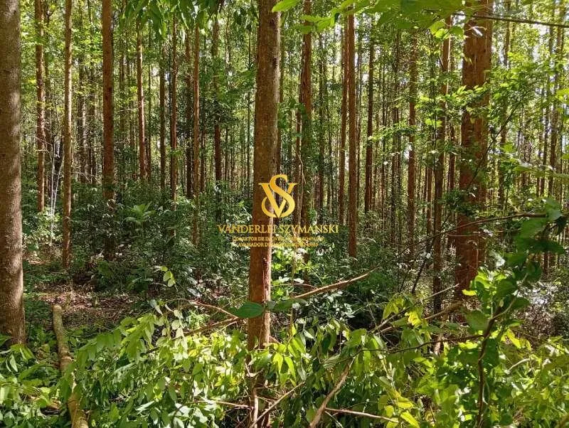Imagem Chácara, Rural para Venda, Centro, União do Oeste
