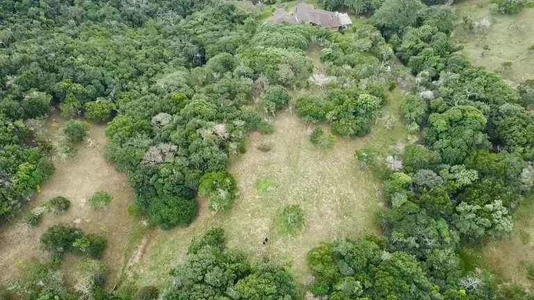 Imagem Terreno à venda em Garopaba-SC, na Praia da Silveira, com 4.908,00 m² de área! Aproveite essa oportunidade única!