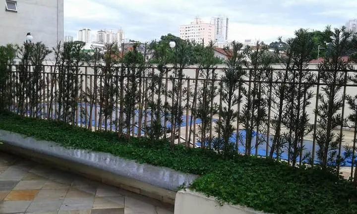 Imagem Apartamento com 2 Quartos à Venda, 60 m² em Sacomã - São Paulo