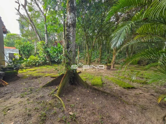 Imagem Belíssima casa à venda, com 5 Dormitórios 3 Suítes 310m2 de área útil - Riviera de São Lourenço - Bertioga S/P
