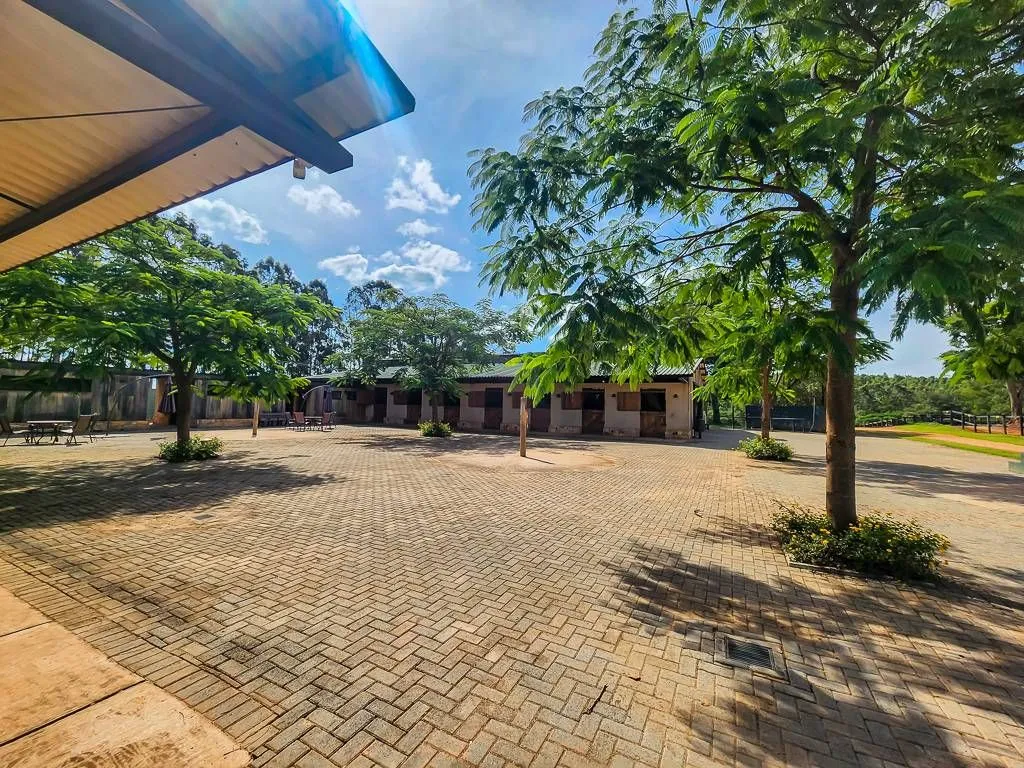 Imagem Terreno à Venda no Fazenda da Grama - 2.504m² Plano