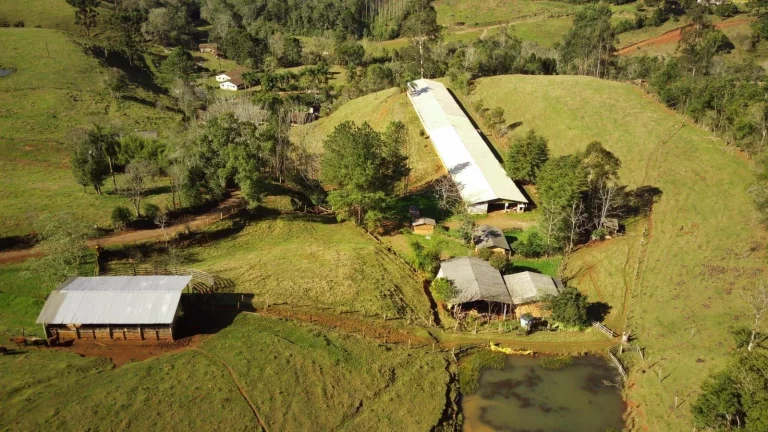 Imagem Área Agrícola para Venda em Concórdia, Rural