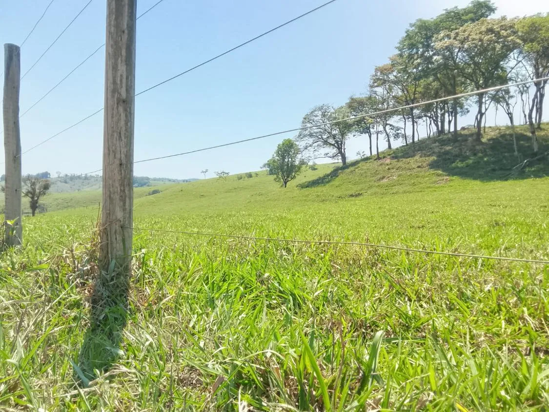 Imagem TERRENO À VENDA EM RIO MANSO/MG | 11,7 HECTARES