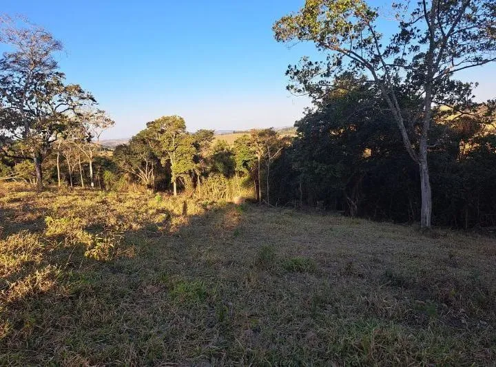 Foto do imóvel Vendo uma excelente chácara em Itaguara/crucilandia com 2 hectares (20.000 m²),