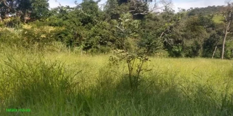 Imagem TERRENO NO BAIRRO CIDADE NOVA I , EM JUATUBA
COM ÁREA DE 4.000 M²
ÁGUA E LUZ
FÁCIL ACESSO PARA A...