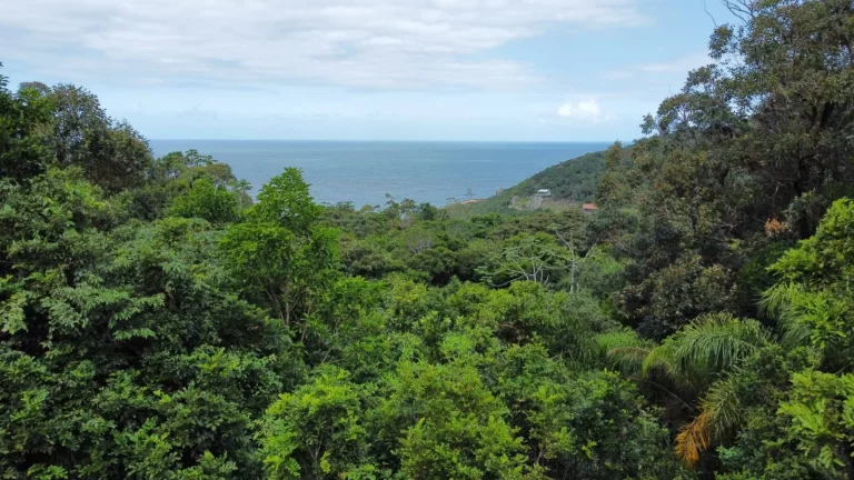 Imagem Vista para o Mar: Terreno à Venda na Praia da Ferrugem, Garopaba-SC - 1.500m²!