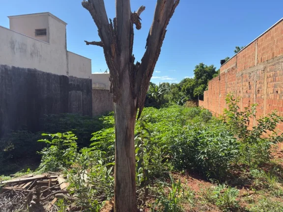 Imagem SUPER OPORTUNIDADE – Terreno em Região de Forte Expansão