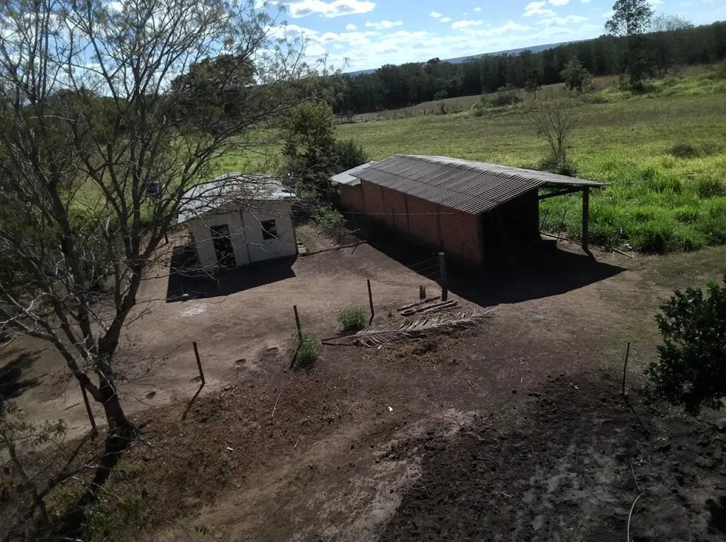 Imagem FAZENDA À VENDA - VÁRZEA DA PALMA (MG) 313 hectares de área total