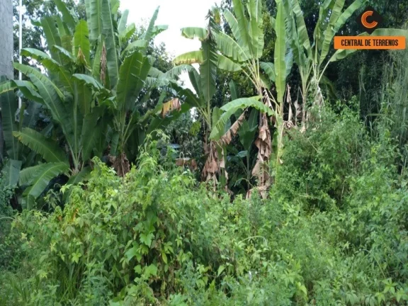 Imagem TERRENO PRÓXIMO AO BOSQUE DA PAZ