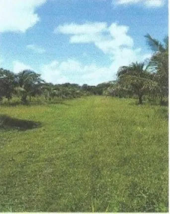 Imagem Fazenda à Venda, 66.246 m² em Zona Rural - Vigia
