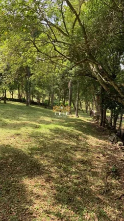 Imagem Chácara - Sítio com 3 Dormitorio(s) localizado(a) no bairro Linha Tapera em Gramado / RIO GRANDE DO SUL Ref.:1515