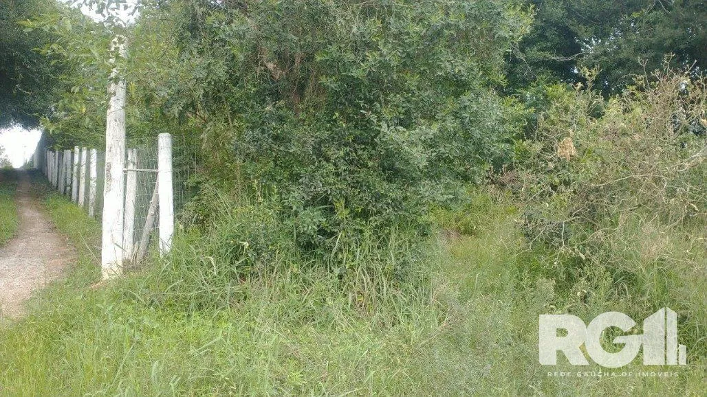 Imagem Terreno em Fiuza